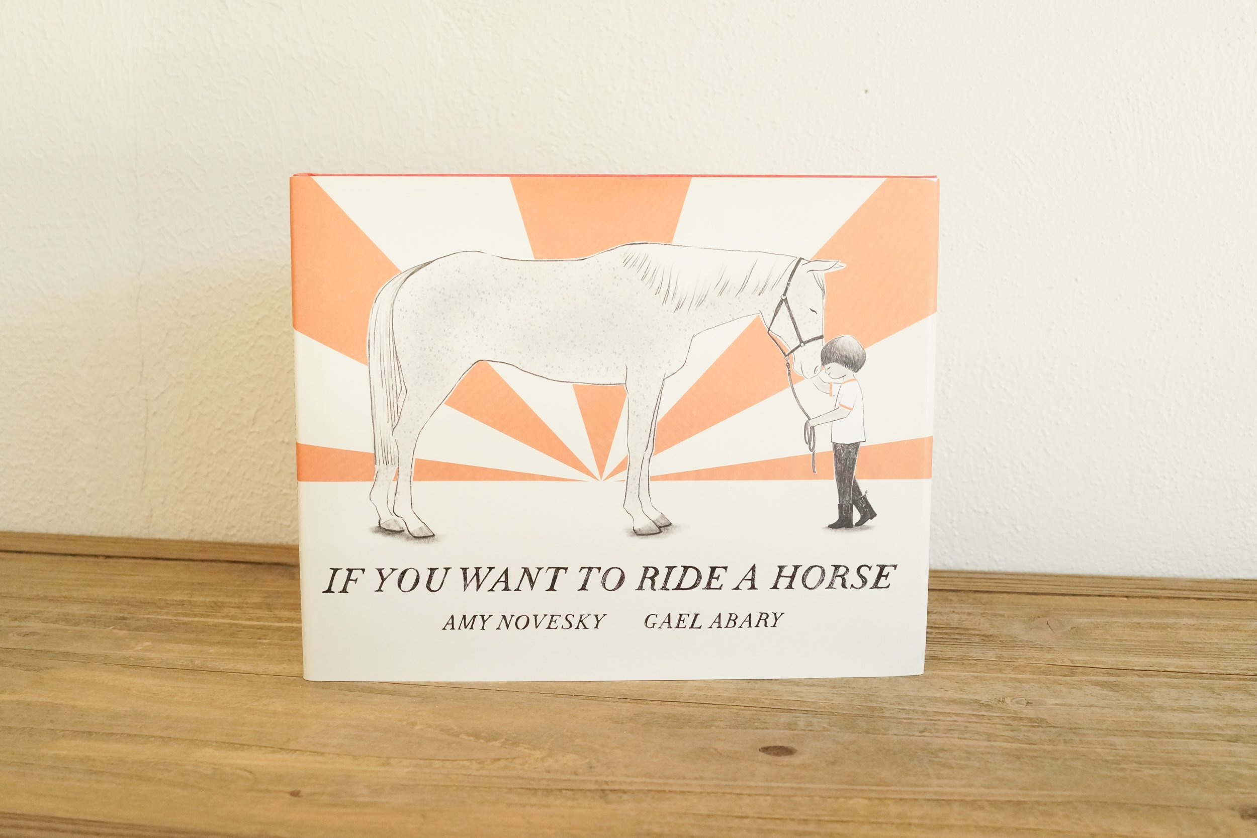If You Want to Ride a Horse by Amy Novesky ISBN 9780823456956